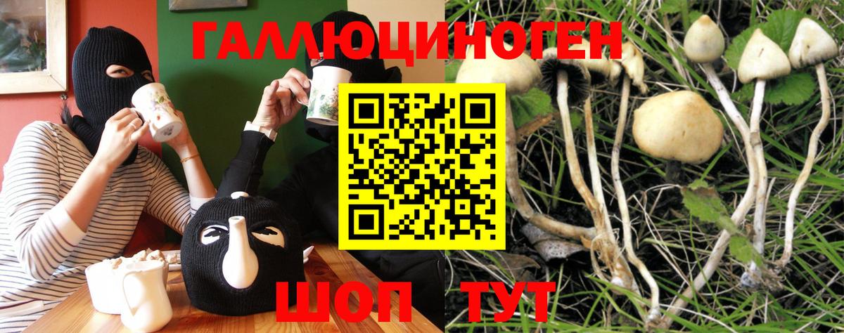 Муром  магазин продажи   Галлюциногенные грибы GOLDEN TEACHER  Вход с VPN  Псилоцибиновые грибы Psilocybe 
